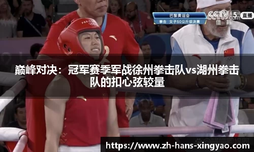 巅峰对决：冠军赛季军战徐州拳击队vs湖州拳击队的扣心弦较量